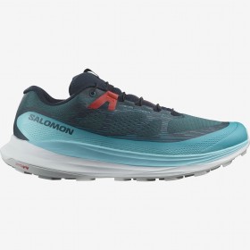 ULTRA GLIDE 2