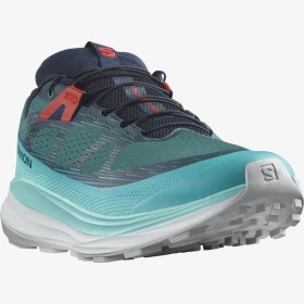ULTRA GLIDE 2