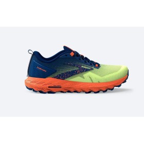 CASCADIA 17