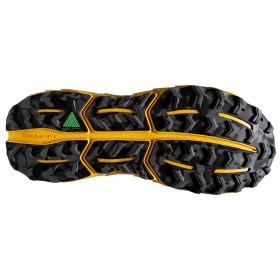 CASCADIA 17
