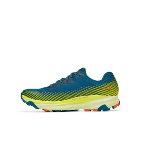 M TORRENT 2