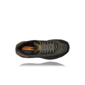 M TORRENT 2