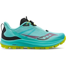 PEREGRINE 12 ST W