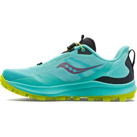 PEREGRINE 12 ST W