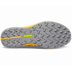 PEREGRINE 12 W