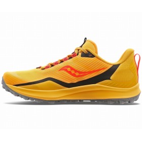 PEREGRINE 12 W