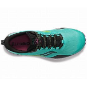 PEREGRINE 12 W