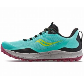 PEREGRINE 12 W
