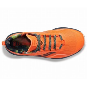 PEREGRINE 12 W