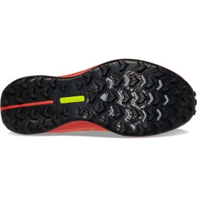 PEREGRINE 12 W