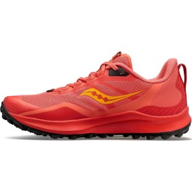 PEREGRINE 12 W