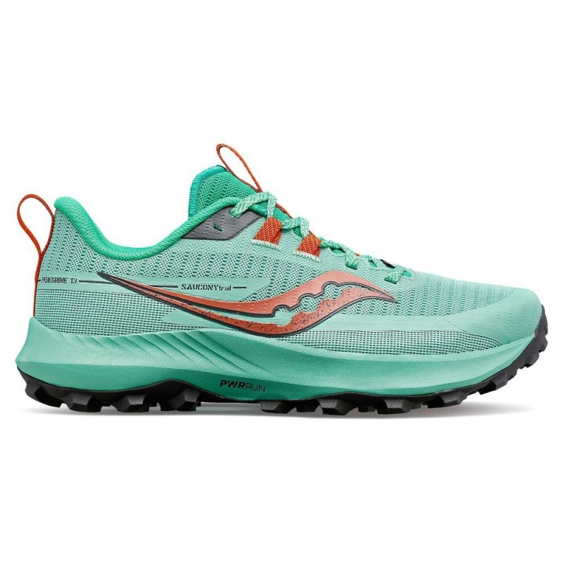 PEREGRINE 13 W
