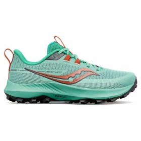 PEREGRINE 13 W