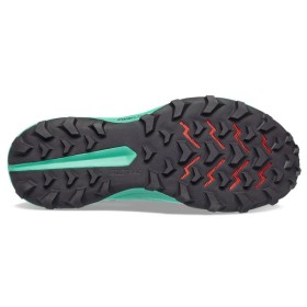 PEREGRINE 13 W