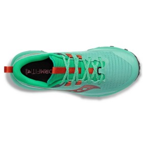 PEREGRINE 13 W