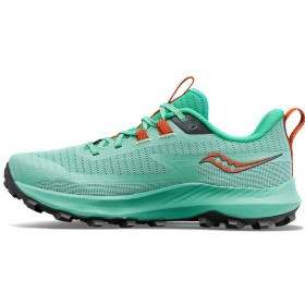 PEREGRINE 13 W