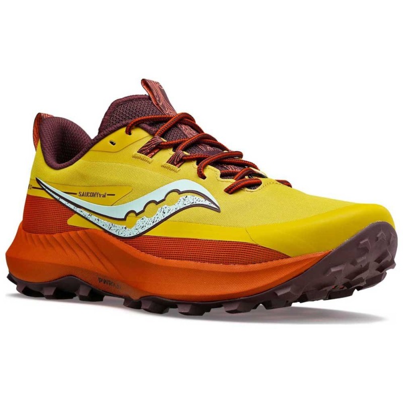 PEREGRINE 13 W