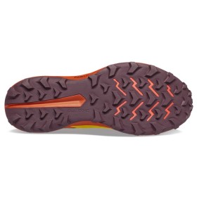 PEREGRINE 13 W