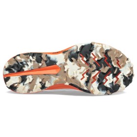 PEREGRINE 13 W
