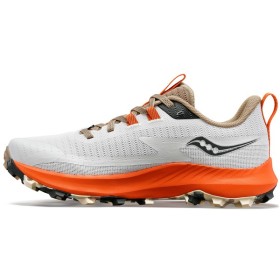 PEREGRINE 13 W