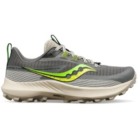 PEREGRINE 13 W