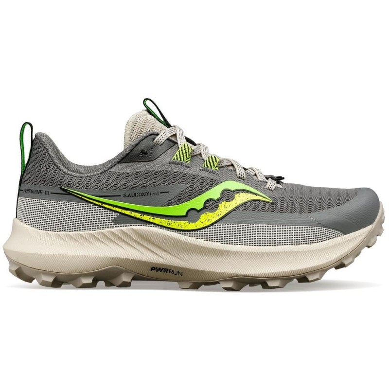 PEREGRINE 13 W