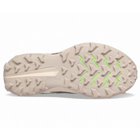 PEREGRINE 13 W