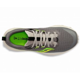 PEREGRINE 13 W