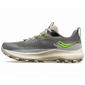 PEREGRINE 13 W