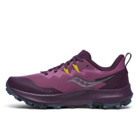 PEREGRINE 14 W