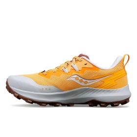 PEREGRINE 14 W