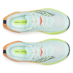PEREGRINE 16 W