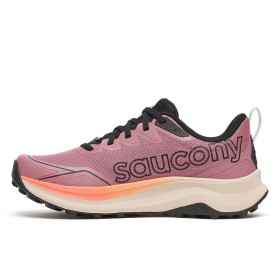 PEREGRINE 16 W