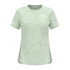 40456-AMBROSIA MELAN