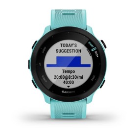 FORERUNNER 55