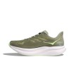 FRT-FOREST LICHEN /