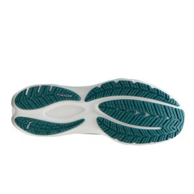 VELOCITY NITRO 4