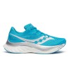220-VIZIBLUE/SILVER