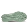 223-ARCTIC/ALOE