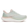 138-MIST/CAMEO