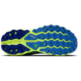 CASCADIA 19