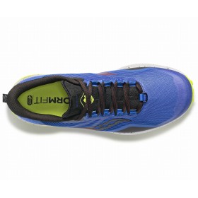 PEREGRINE 12