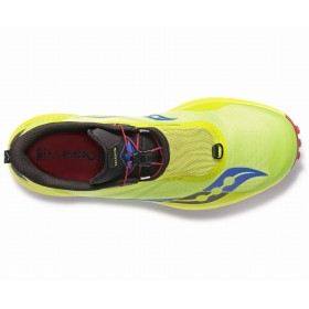 PEREGRINE 12 ST