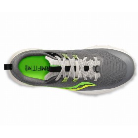 PEREGRINE 13